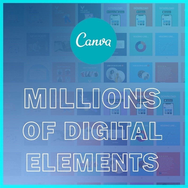 Canva Pro